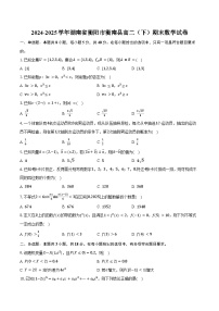 2024-2025学年湖南省衡阳市衡南县高二（下）期末数学试卷（含答案）