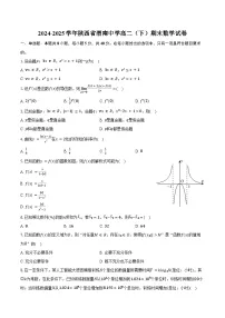 2024-2025学年陕西省渭南中学高二(下)期末数学试卷(含解析)