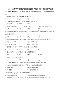 2024-2025学年湖南省邵阳市海谊中学高二(下)期末数学试卷(含答案)