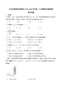 贵州省安顺市2024-2025学年高一下学期期末考试 数学 Word版含解析含答案解析
