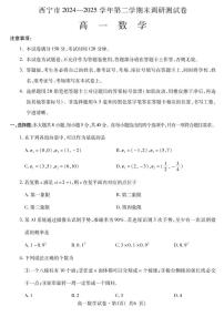 青海省西宁市2024-2025学年高一下学期末调研测试数学试卷含答案解析