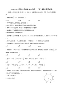 2024-2025学年江苏省盐城中学高一（下）期中数学试卷（含答案）