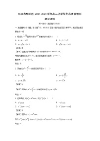 【数学】北京市朝阳区2024-2025学年高二上学期期末质量检测试题（解析版）