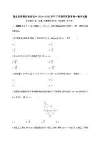 湖北省孝感市部分高中联考2024_2025学年高一下册7月期末数学检测试卷