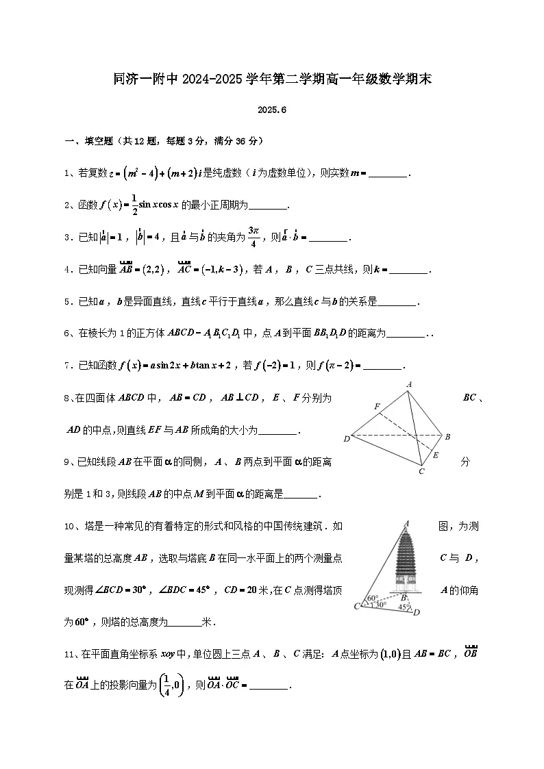上海市同济大学第一附属中学2024_2025学年高一下册期末考试数学检测试卷第1页
