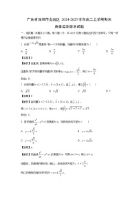 广东省深圳市龙岗区2024-2025学年高二上学期期末质量监测数学试题（解析版）