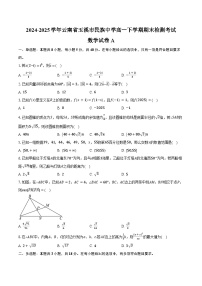 2024-2025学年云南省玉溪市民族中学高一下学期期末检测考试数学试卷A（含答案）