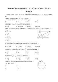 2024-2025学年四川省成都十二中（川大附中）高一（下）期中数学试卷（含解析）