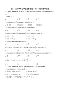 2024-2025学年辽宁省丹东市高一（下）期末数学试卷（含解析）