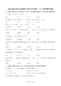 2024-2025学年山东省济宁市育才中学高一（下）期中数学试卷（含解析）