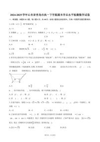 2024-2025学年山东省青岛市高一下学期期末学业水平检测数学试卷（含解析）