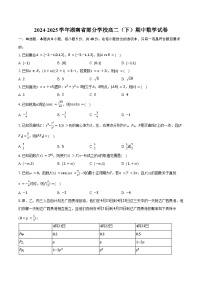 2024-2025学年湖南省部分学校高二（下）期中数学试卷（含解析）