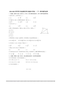 2024~2025学年四川省成都市养马高级中学高一(下)期中数学试卷(含答案)
