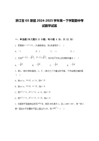 浙江省G5联盟2024-2025学年高一下学期期中考试数学试题(含答案解析)