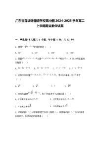 广东省深圳外国语学校高中园2024-2025学年高二上学期期末数学试题（含答案解析）