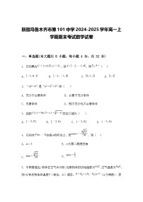 新疆乌鲁木齐市第101中学2024-2025学年高一上学期期末考试数学试卷(含答案解析)