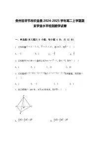贵州省毕节市织金县2024-2025学年高二上学期期末学业水平检测数学试卷（含答案解析）