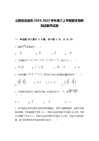 山西省运城市2024-2025学年高三上学期期末调研测试数学试题（含答案解析）