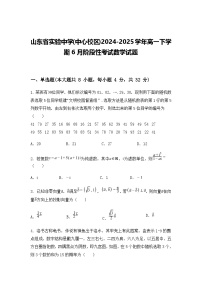 山东省实验中学(中心校区)2024-2025学年高一下学期6月阶段性考试数学试题（含答案解析）