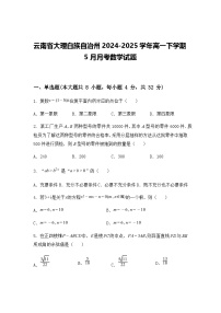 云南省大理白族自治州2024-2025学年高一下学期5月月考数学试题（含答案解析）