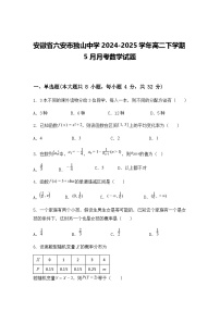 安徽省六安市独山中学2024-2025学年高二下学期5月月考数学试题（含答案解析）