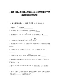 上海市上海大学附属中学2024-2025学年高二下学期诊断测试数学试卷（含答案解析）