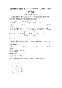 河南省信阳市固始县2024-2025学年高二上学期1月期末数学试卷（解析版）
