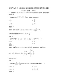 北京市大兴区2024-2025学年高二上学期期末检测数学试卷（解析版）