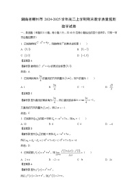 湖南省郴州市2024-2025学年高二上学期期末教学质量监测数学试卷（解析版）