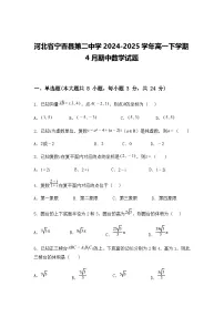 河北省宁晋县第二中学2024-2025学年高一下学期4月期中数学试题（含答案解析）