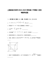 上海市进才中学2024-2025学年高二下学期3月月考数学试题（含答案解析）