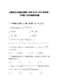 云南省文山州砚山县第一中学2024-2025学年高一下学期3月月考数学试卷（含答案解析）
