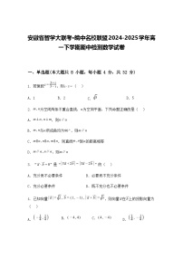 安徽省智学大联考·皖中名校联盟2024-2025学年高一下学期期中检测数学试卷（含答案解析）