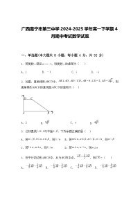 广西南宁市第三中学2024-2025学年高一下学期4月期中考试数学试题（含答案解析）