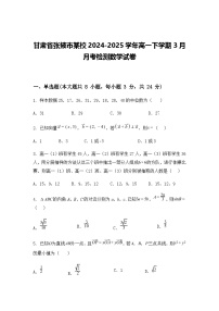 甘肃省张掖市某校2024-2025学年高一下学期3月月考检测数学试卷（含答案解析）