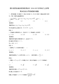 贵州省黔东南苗族侗族自治州2024-2025学年高二上学期期末文化水平测试数学试题（解析版）