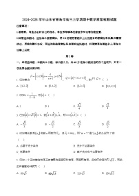 2024_2025学年山东省青岛市高三上学期期中数学试卷[附解析]