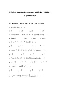 江苏省马坝高级中学2024-2025学年高一下学期3月月考数学试题（含答案解析）