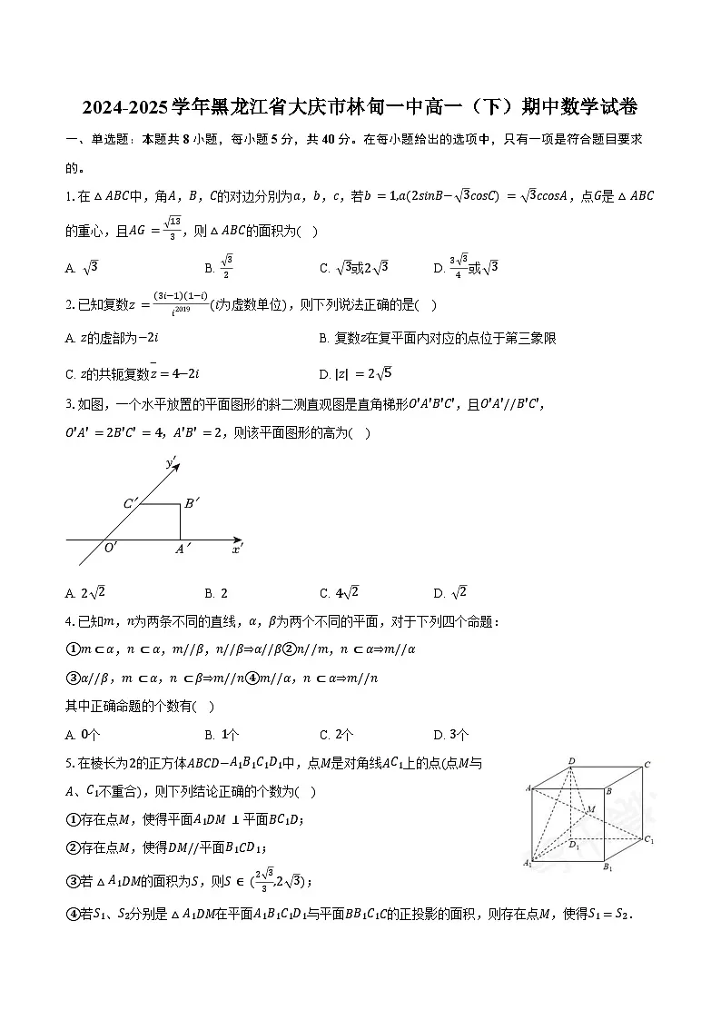 2024-2025学年黑龙江省大庆市林甸一中高一(下)期中数学试卷(含答案)第1页