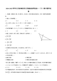 2024-2025学年江苏省南京师大附属实验学校高一（下）期中数学试卷（含解析）