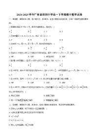 2024-2025学年广东省深圳中学高一下学期期中数学试卷（含答案）