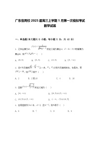 广东省两校2025届高三上学期1月第一次模拟考试数学试题（含答案解析）
