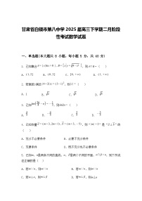甘肃省白银市第八中学2025届高三下学期二月阶段性考试数学试题（含答案解析）