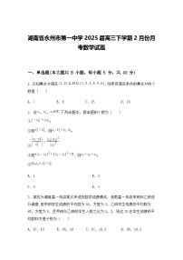 湖南省永州市第一中学2025届高三下学期2月份月考数学试题（含答案解析）