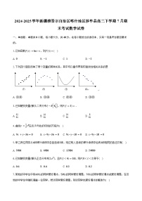 新疆喀什地区莎车县2024-2025学年高二下学期7月期末考试数学试卷（含答案）含答案解析