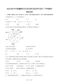 新疆维吾尔自治区喀什地区莎车县2024-2025学年高一下学期7月期末考试数学试卷（含答案）含答案解析