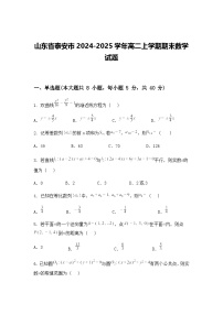 山东省泰安市2024-2025学年高二上学期期末数学试题