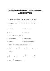 广东省深圳市高级中学高中园2024-2025学年高一上学期期末数学试题