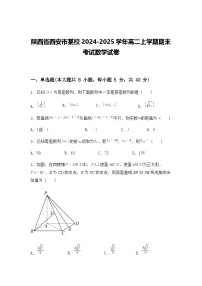 陕西省西安市某校2024-2025学年高二上学期期末考试数学试卷