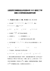 云南省怒江傈僳族自治州民族中学2025届高三下学期第三次高考模拟测试数学试卷